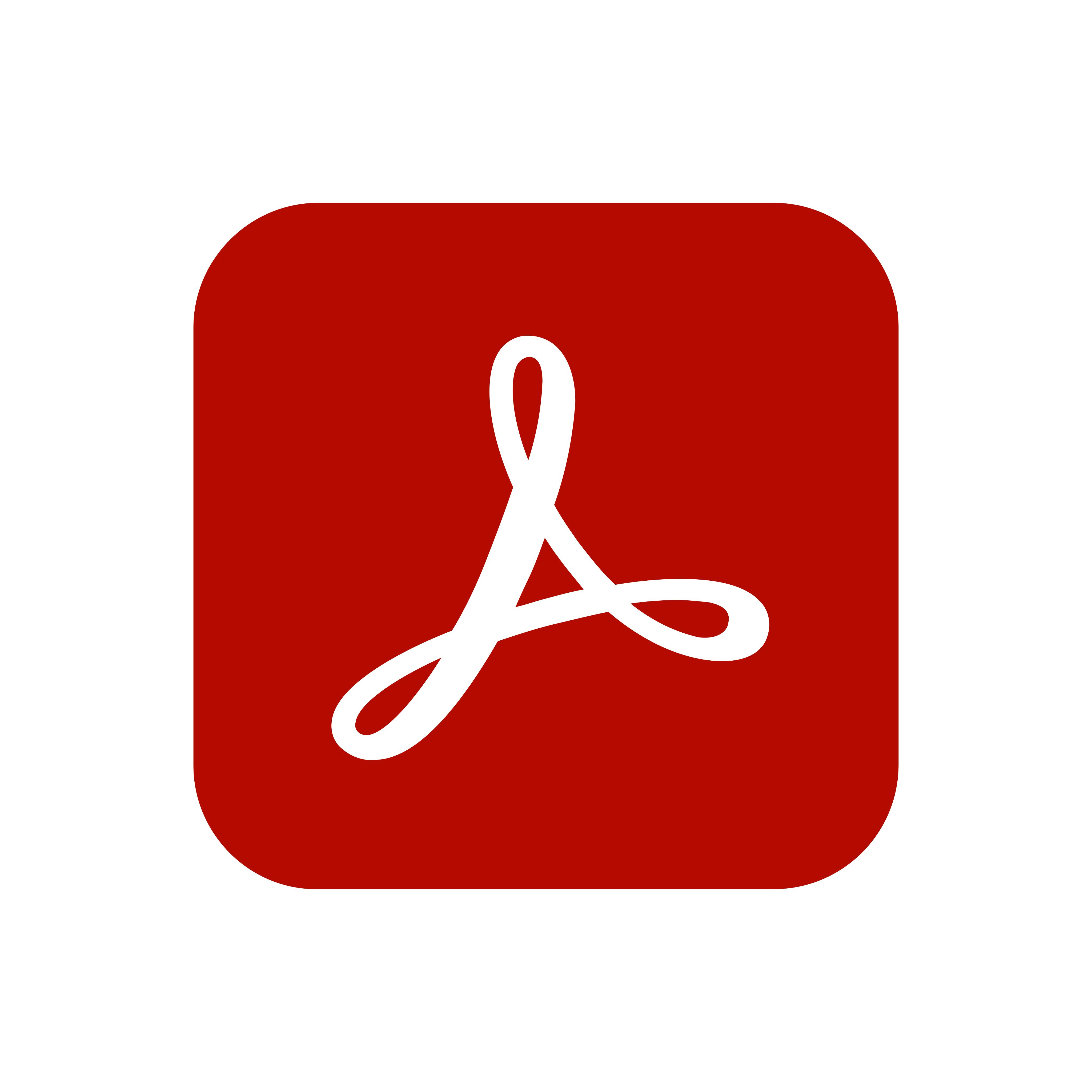 Adobe Reader X